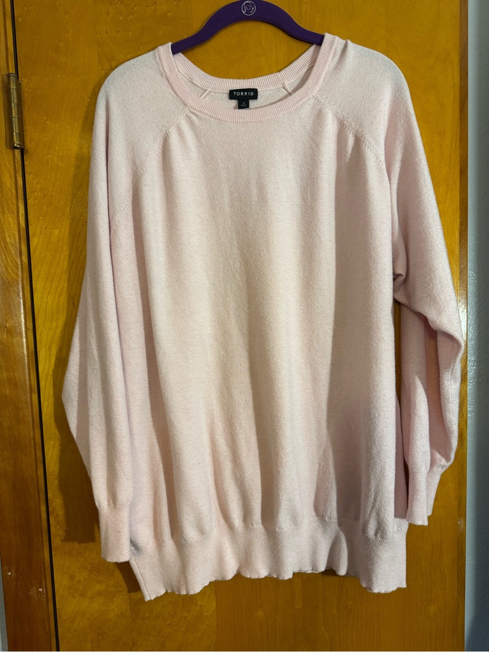 torrid Soft Pale Pink Crewneck Sweater